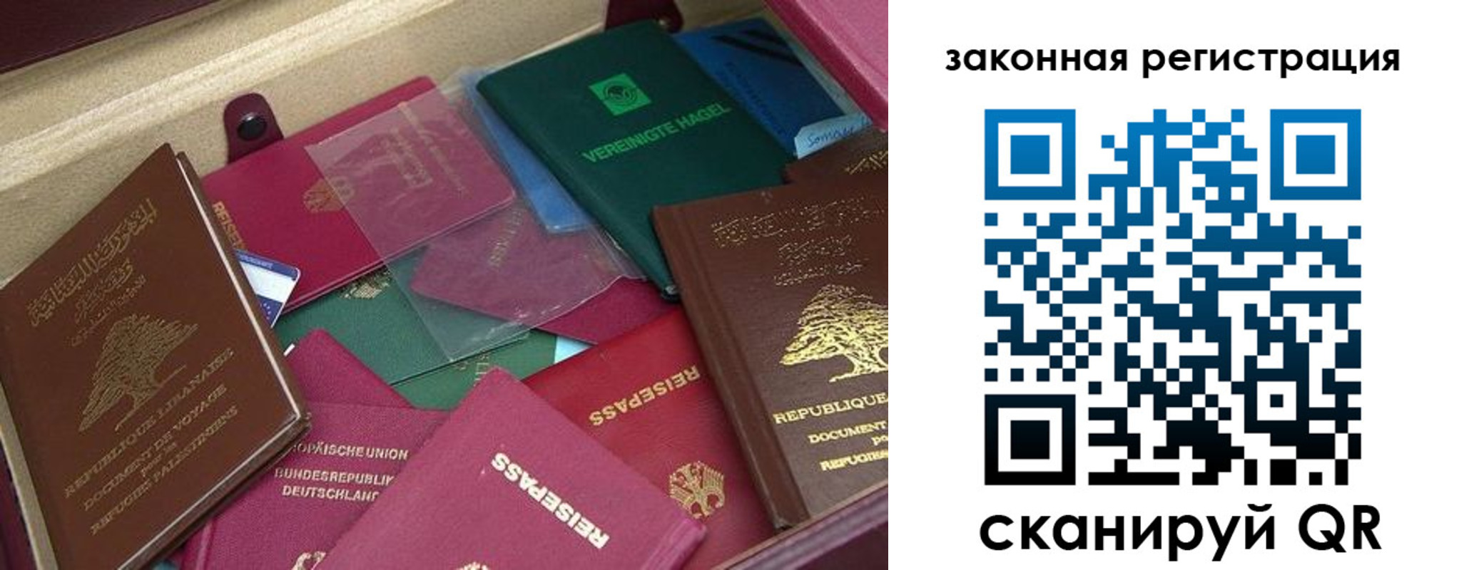 купить прописку в Кольчугино